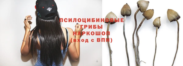 прущая мука Саяногорск