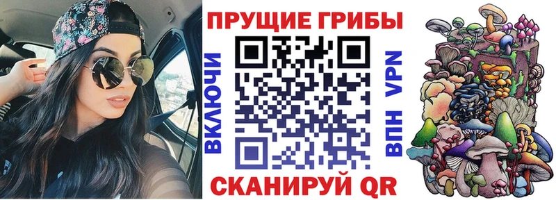 Псилоцибиновые грибы Psilocybe  Белая Калитва 