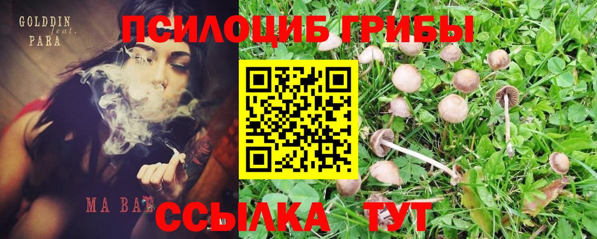 Галлюциногенные грибы Magic Shrooms Белая Калитва
