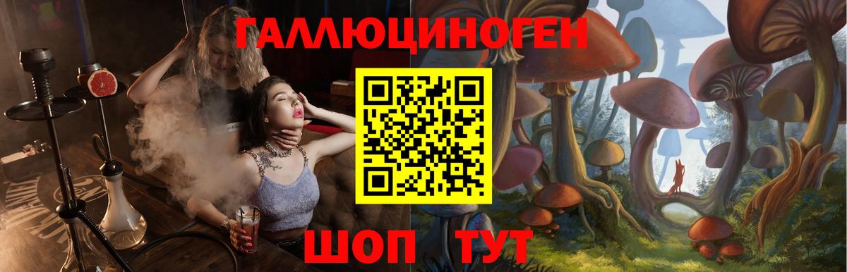 Белая Калитва  Галлюциногенные грибы Cubensis  Галлюциногенные грибы Psilocybine cubensis  Вход с VPN 